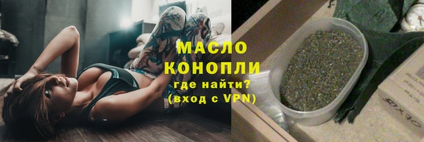 дмт Заводоуковск
