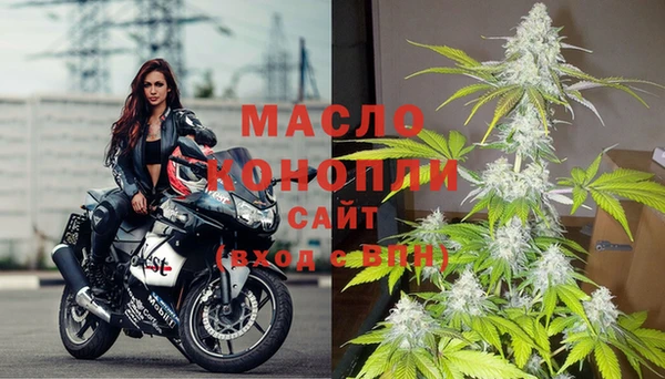 дмт Заводоуковск