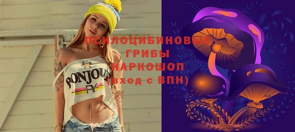 ГАЛЛЮЦИНОГЕННЫЕ ГРИБЫ Заволжье