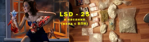 ГАЛЛЮЦИНОГЕННЫЕ ГРИБЫ Заволжье