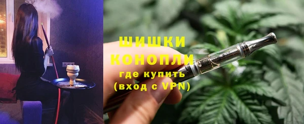ГАЛЛЮЦИНОГЕННЫЕ ГРИБЫ Заволжье