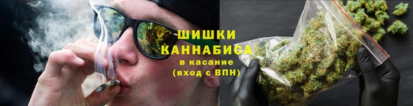 дмт Заводоуковск