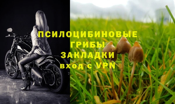 дмт Заводоуковск