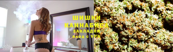 дмт Заводоуковск