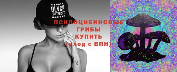 ГАЛЛЮЦИНОГЕННЫЕ ГРИБЫ Заволжье