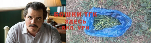 ГАЛЛЮЦИНОГЕННЫЕ ГРИБЫ Заволжье