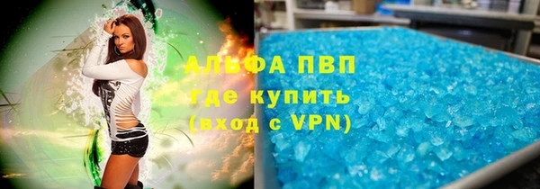 ГАЛЛЮЦИНОГЕННЫЕ ГРИБЫ Заволжье