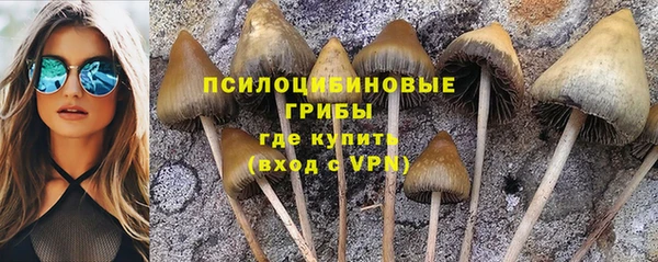ГАЛЛЮЦИНОГЕННЫЕ ГРИБЫ Заволжье