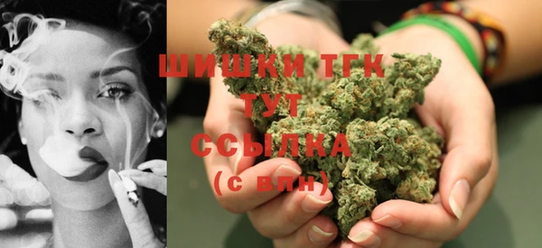 ГАЛЛЮЦИНОГЕННЫЕ ГРИБЫ Заволжье