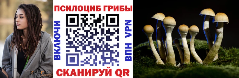 Псилоцибиновые грибы MAGIC MUSHROOMS Змеиногорск