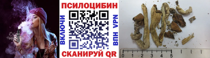 где найти   Змеиногорск  Псилоцибиновые грибы мицелий 